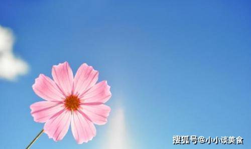 积极阳光的朋友圈唯美句子，满满正能量，夏日的午后送给自己