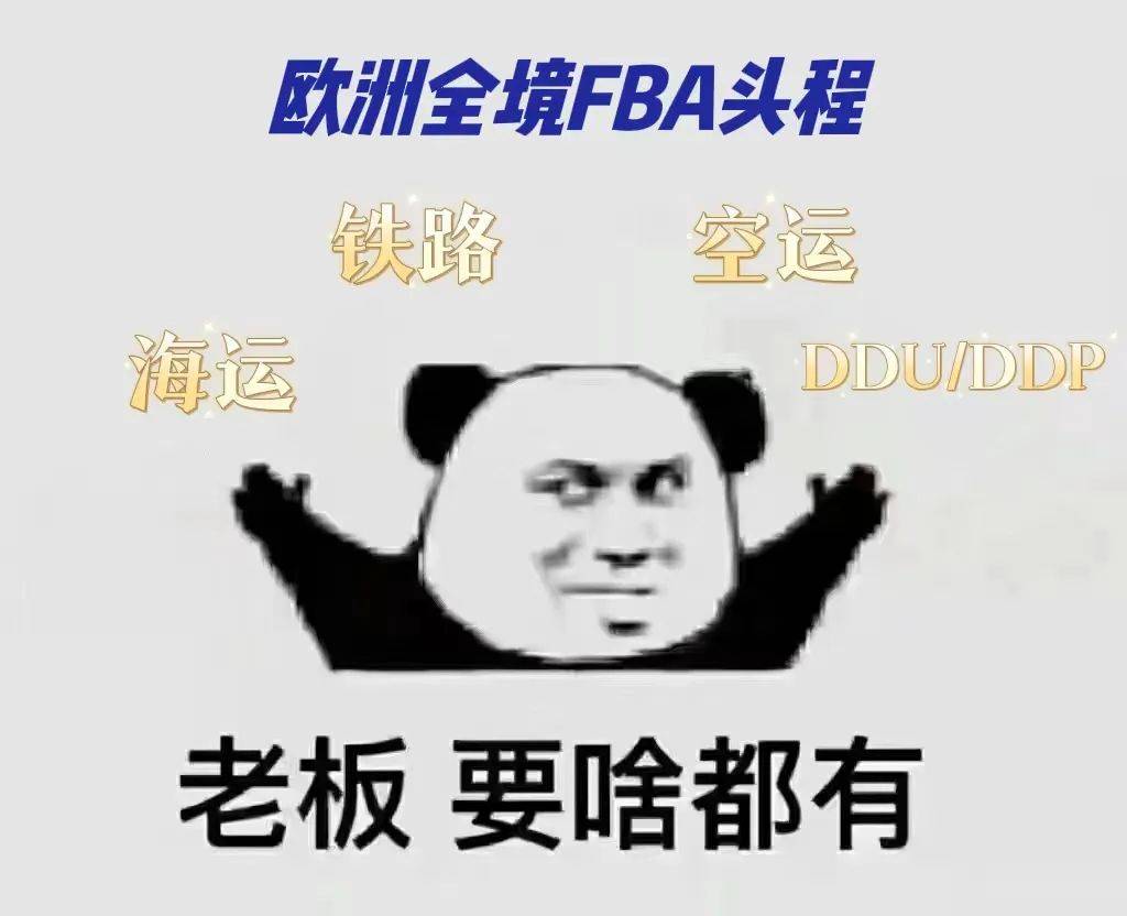 出海迅猛！拼多多海外版Temu即将进入欧洲市场！让我们拭目以待！