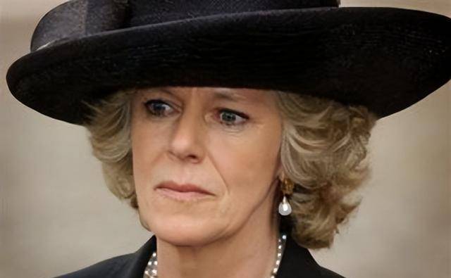 �������������ˣ�����������������̥ά�ֻ������ȴ����� ...