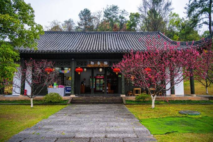 【湖南常德游览】嘿~是我梦里的桃花源呀！