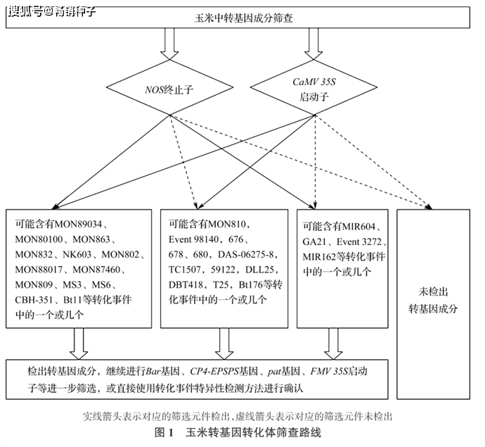 次要农做物种子中若何快速、准确、高效筛查转基因成分？