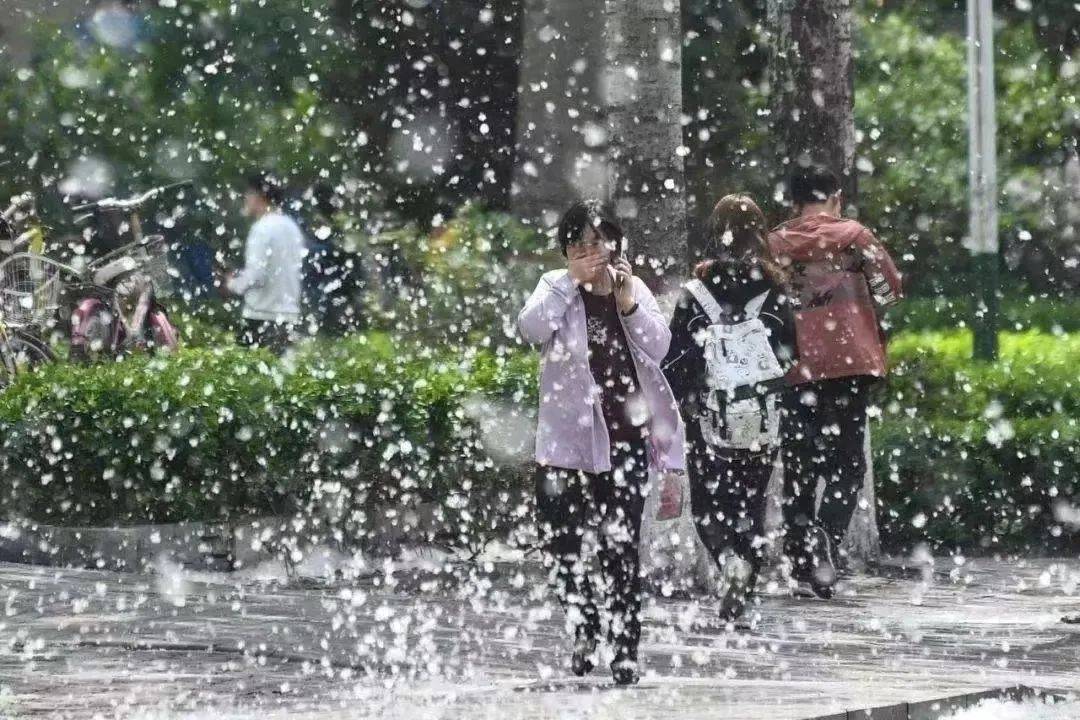 墨氏药业|又到一年“飞絮”时，春季柳絮过敏怎么办？