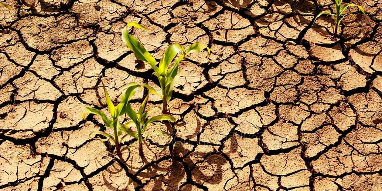 ����֪��˥��ʱ�����Ƿ�͸е����ŵĻ�������ã���أ�