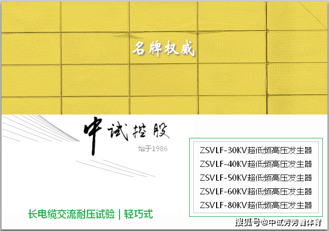 电缆低频高压发生器(1公里)_试验_仪器_进行