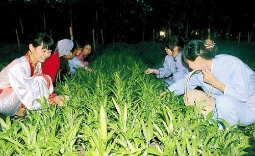 中秋除了吃月饼外，南北各地还有什么风俗？你都测验考试过几种