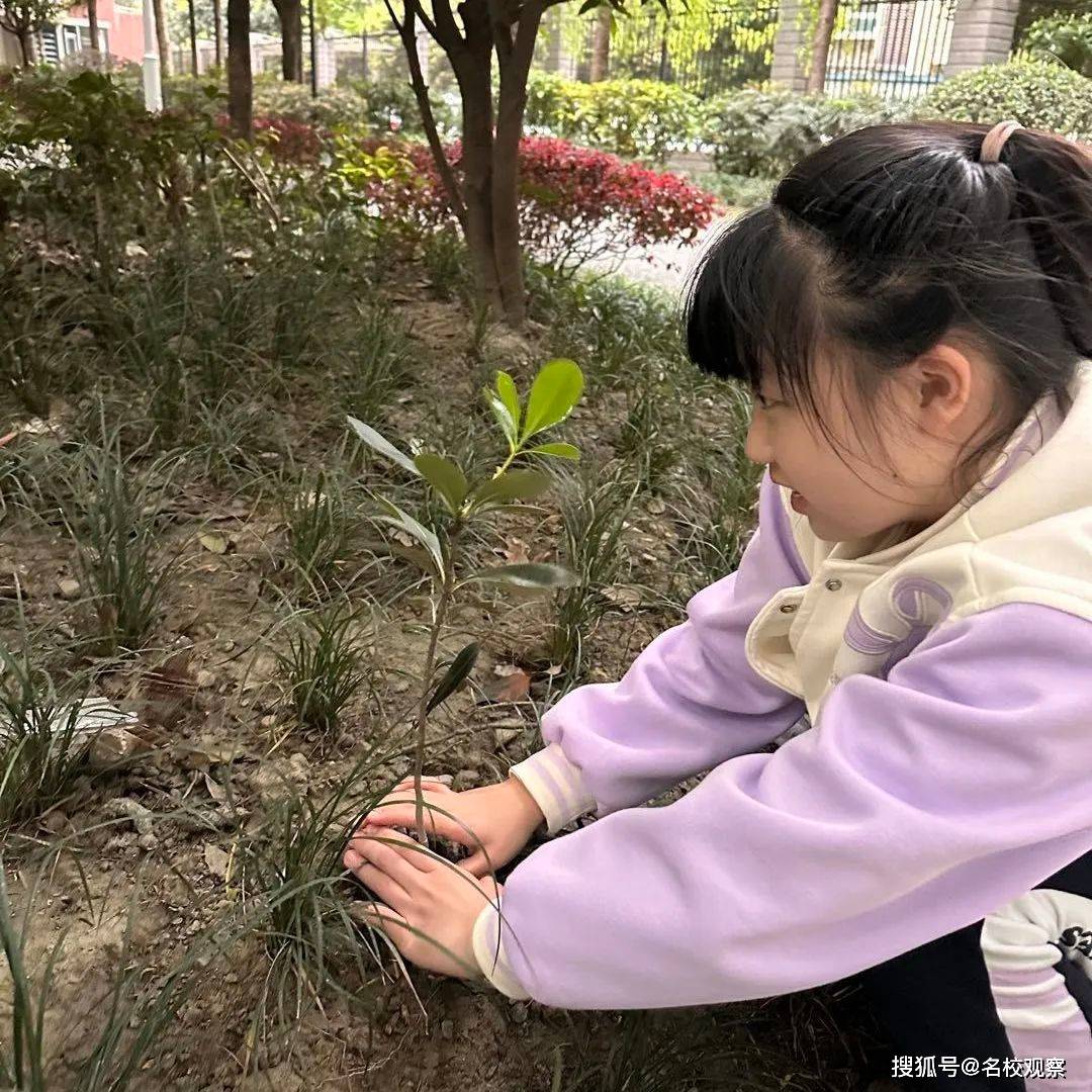 踏青赏春、绘画风筝......新世纪外国语，以清明节为契机，开展丰硕多彩的活动