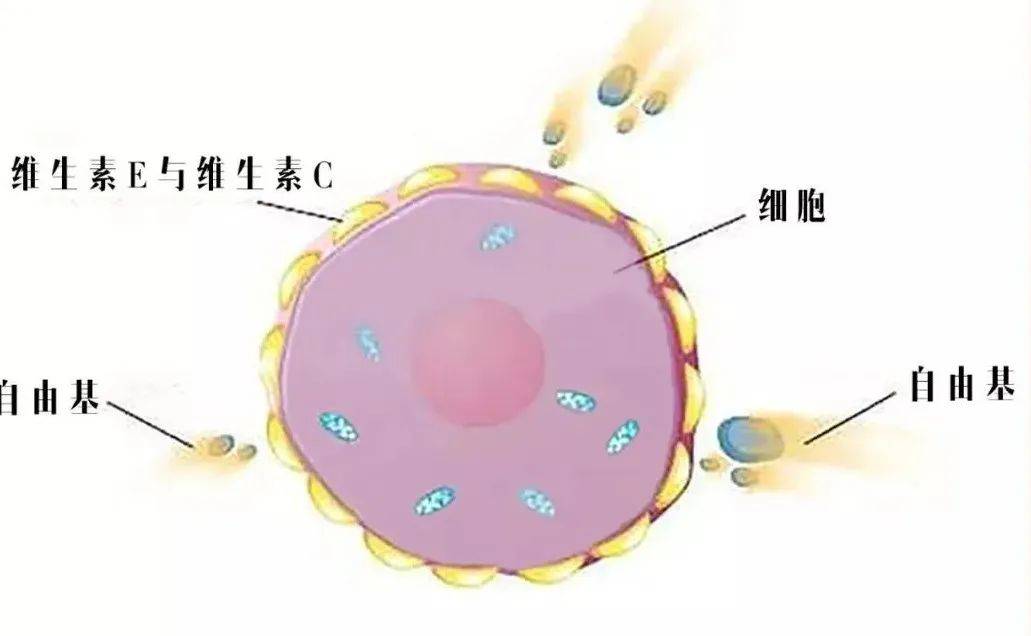 今天的6款抗老卷王天花板，N个顶流成分竟然加满了！