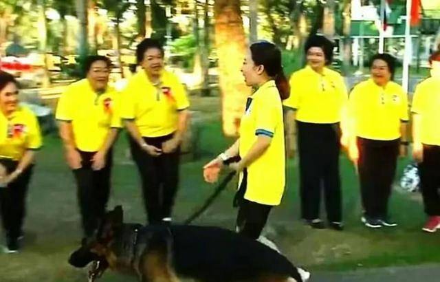 ���������غ����﹦���浣������δ���������þû����� ...