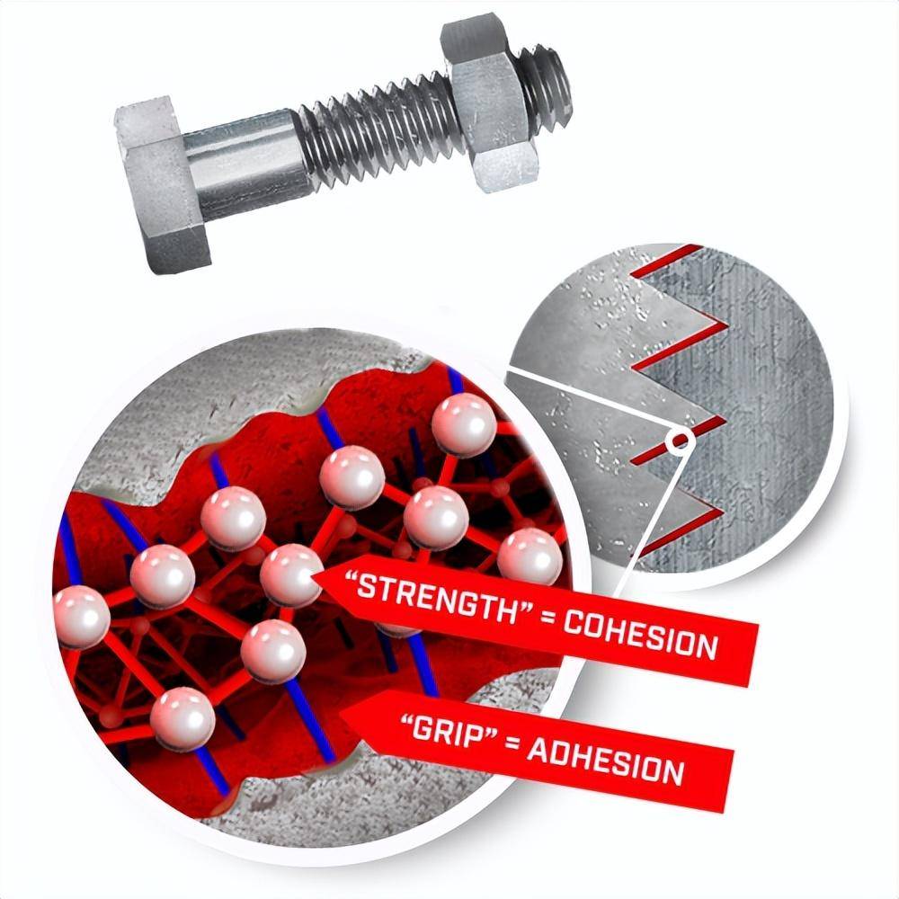 �й�����ҵӦ�������缶�ġ����ιھ���ѧϰʲô��