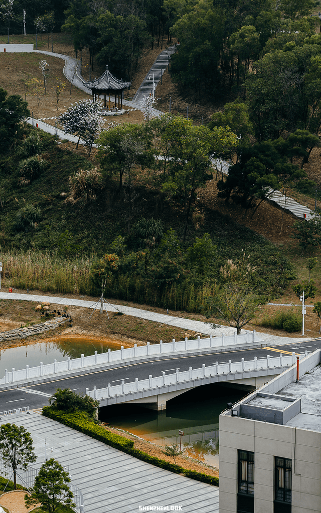 LOOK！那是深圳北理莫斯科大学