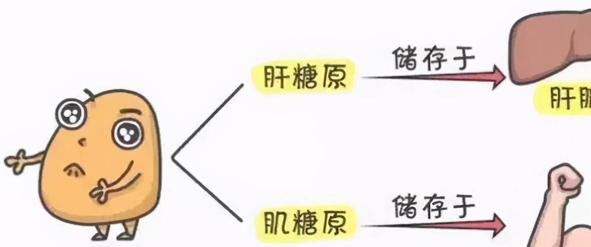 什么是失温？人体失温有多可怕？症状从躁动到呈现幻觉，曲至灭亡