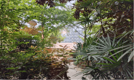 ��Ϊ����60X���⣺�ʹ�����һ��Լ�ᣬ�������ز�����