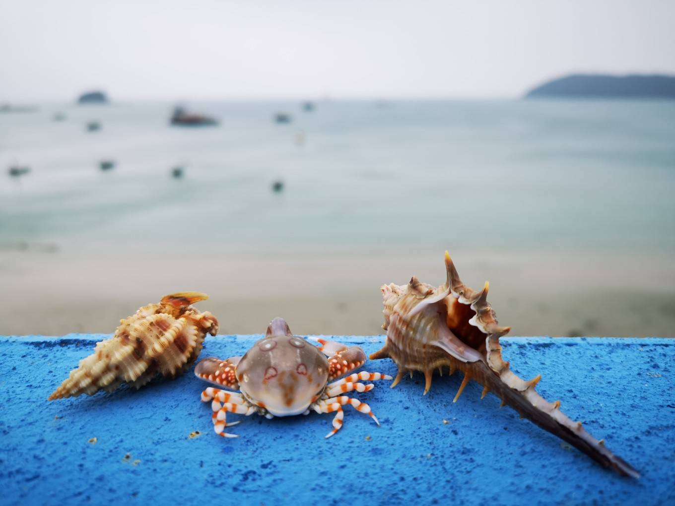 遨游北海涠洲岛