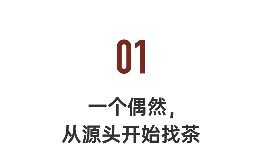 一个怪脾性老翁，隐居雨林20年，每天“拼命”找好茶