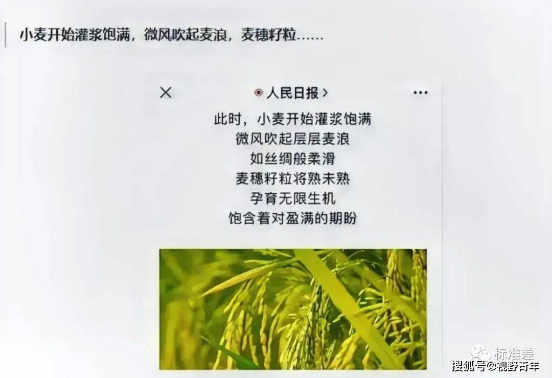 北极鲶鱼后续：深圳退休局长孙女炫富事件，还会有结果吗?