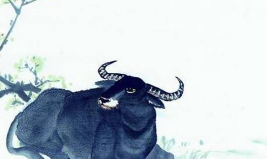 昏天黑地打一个生肖是什么生肖，权威解释呈现