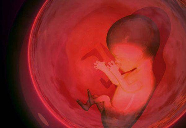 别再说胎教是个骗局了，不得不承认，胎教和不胎教的宝宝差别很大