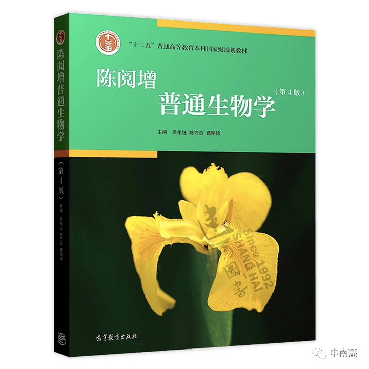 文章配图-9