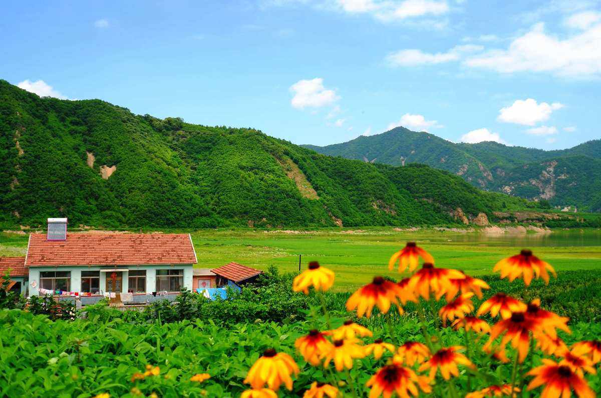 半岛体育真实讲述老年人去东北旅游的真实感受(图1)