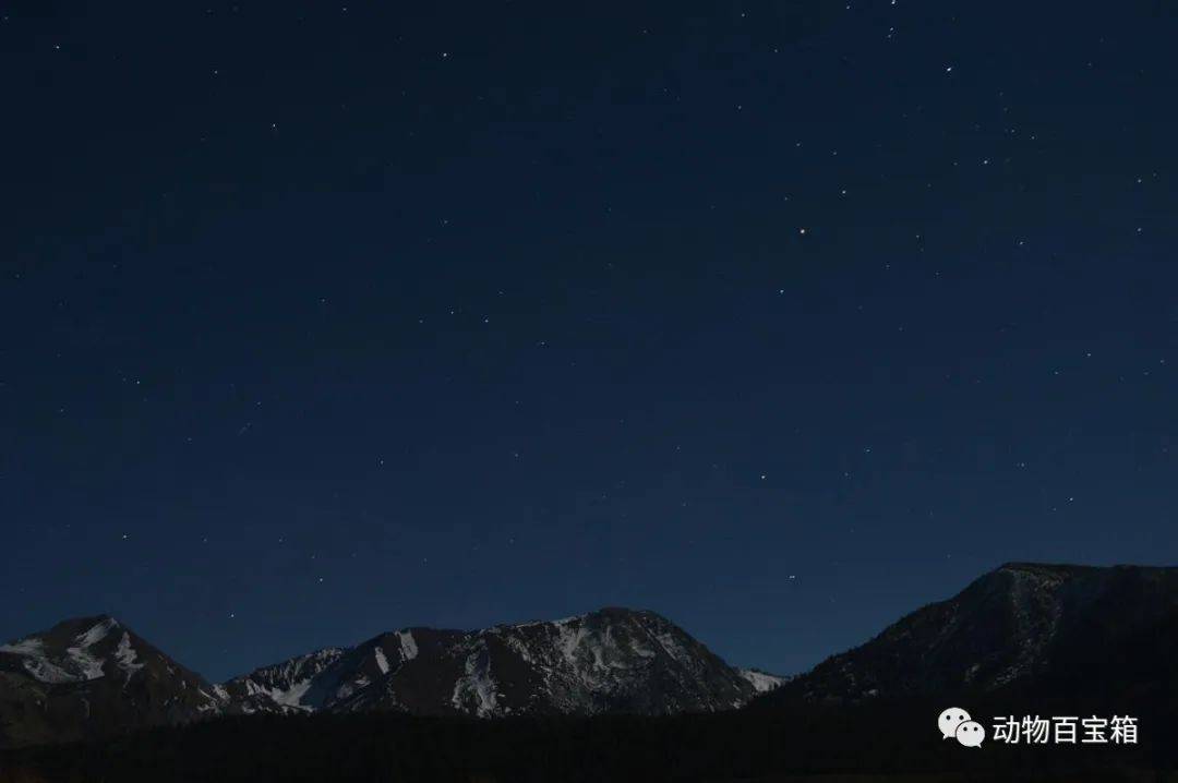 原创北斗七星都是什么星？它们有多大，距离地球有多远？