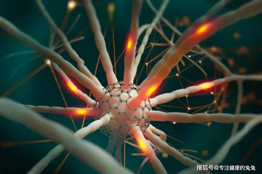 植物神经紊乱会不会导致胃病的发生
