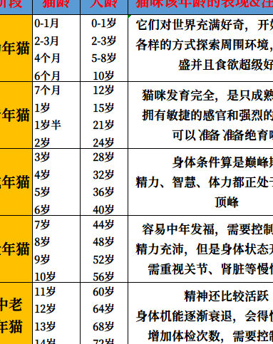 猫咪寿命排行榜,来看看你家猫咪排第几！