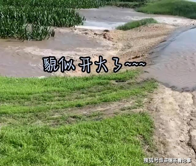 原创两男子挖堤坝灌溉玉米地，瞬间全村庄稼都被淹了！