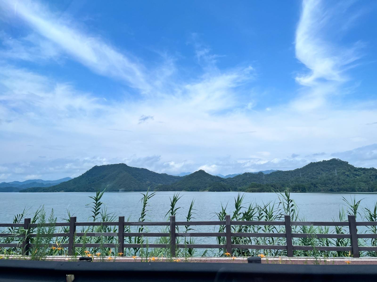 千岛湖旅游攻略，好吃的美食餐厅！不踩雷~