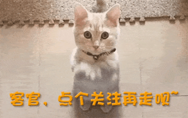 黑道歌手臧天朔有多狂，扇梅婷耳光，砸成龙场子，现在却无人问津
