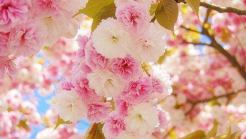 原创
优质干净的励志短句(干净简短的励志说说)