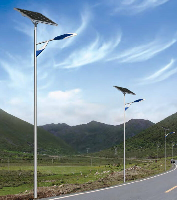 龙珠体育太阳能路灯：光明未来的绿色能源解决方案(图3)