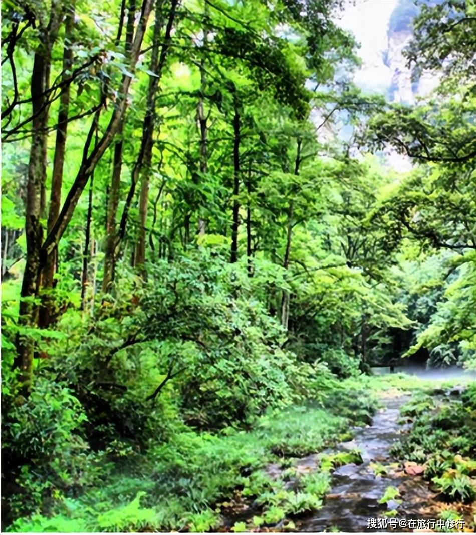 和闺蜜在张家界玩4天独立团旅游攻略轻松休闲自由