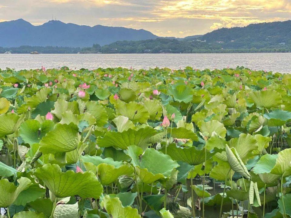 杭州西湖丨旅游攻略丨景点介绍