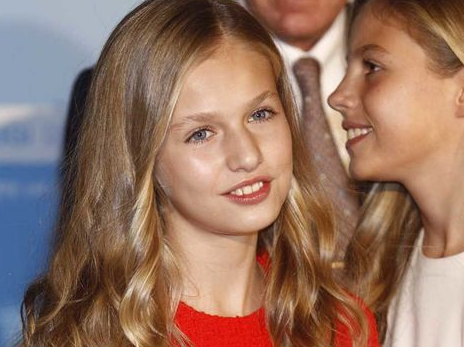 宠物知识：西班牙猎犬常见的健康问题-第1张图片-冲锋网