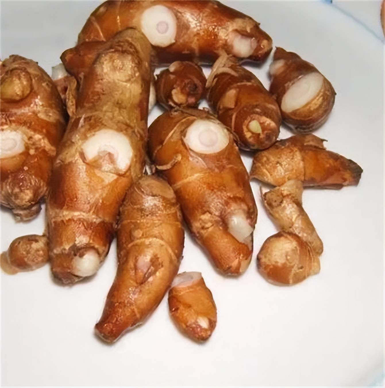 沙姜因其独特的辛香味征服不少食客，和生姜有何不同之处呢？ 口感 用途 调制