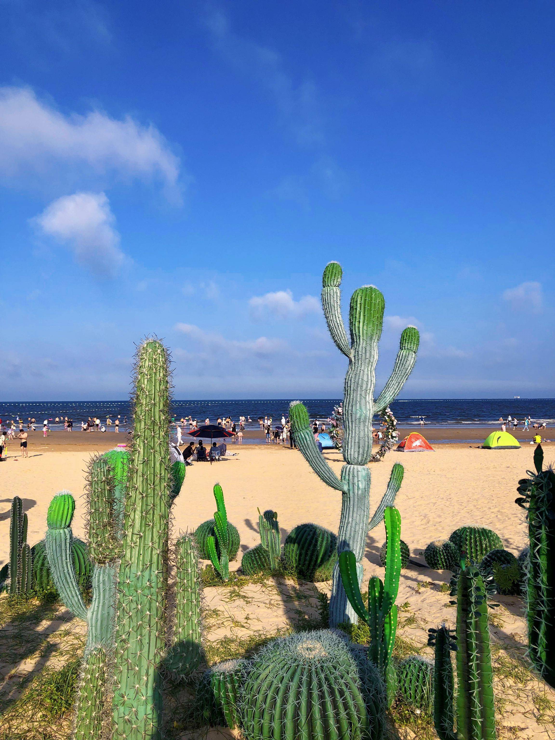 日照一日游旅游攻略！来日照你一定要知道