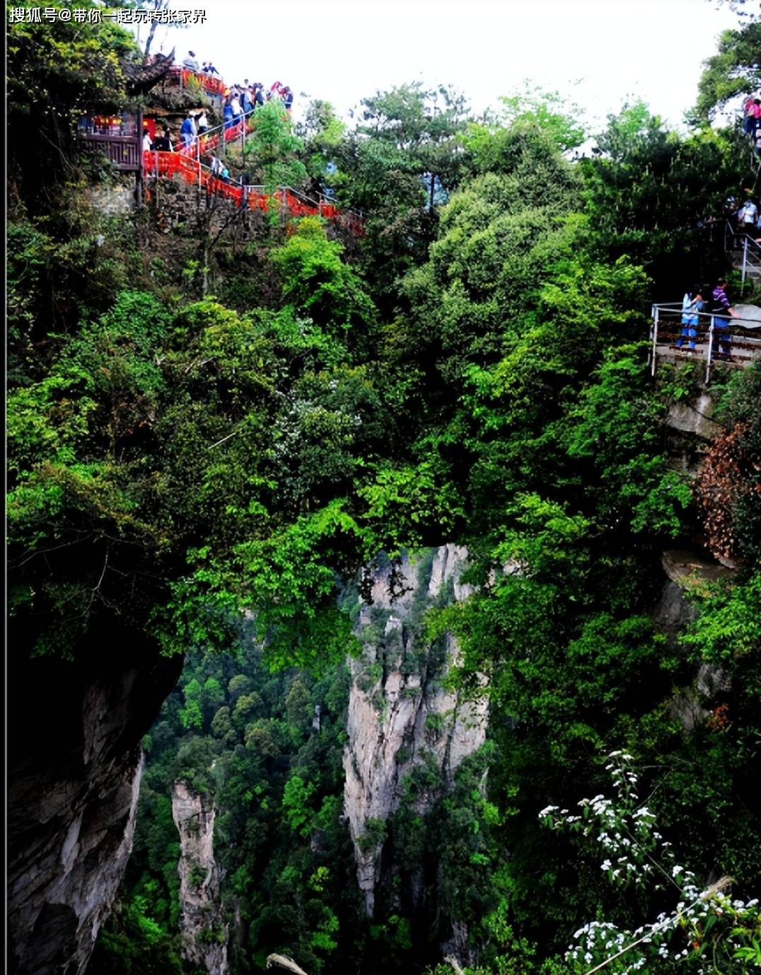 国内景区旅游天花板张家界天门山凤凰古城5日游攻略