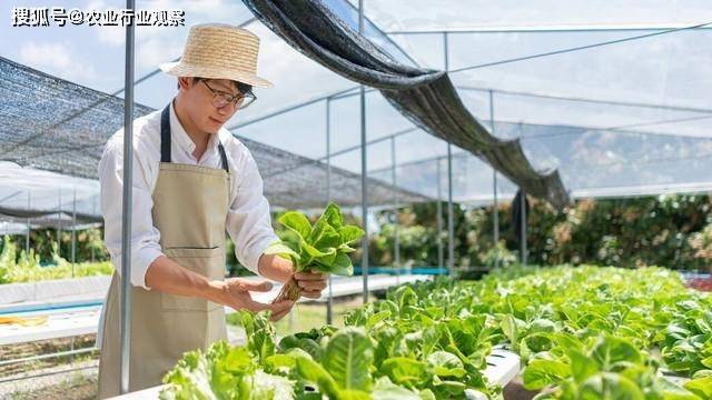 农业行业观察中国农开云真人机迈入智能农机时代农业40由梦想变成现实（附趋势）(图6)