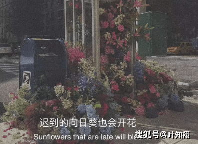 文案 | 爱到骨子里的句子(爱到骨子里的短句子)