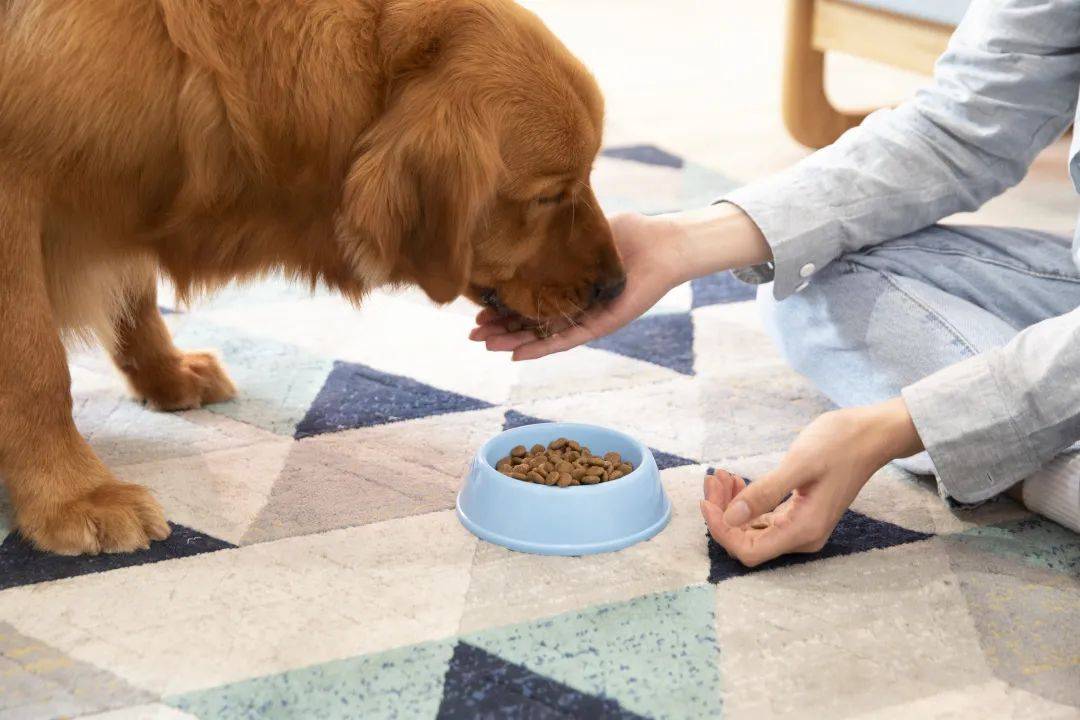 有宠有家：宠物食品的研究与发展现状(图4)