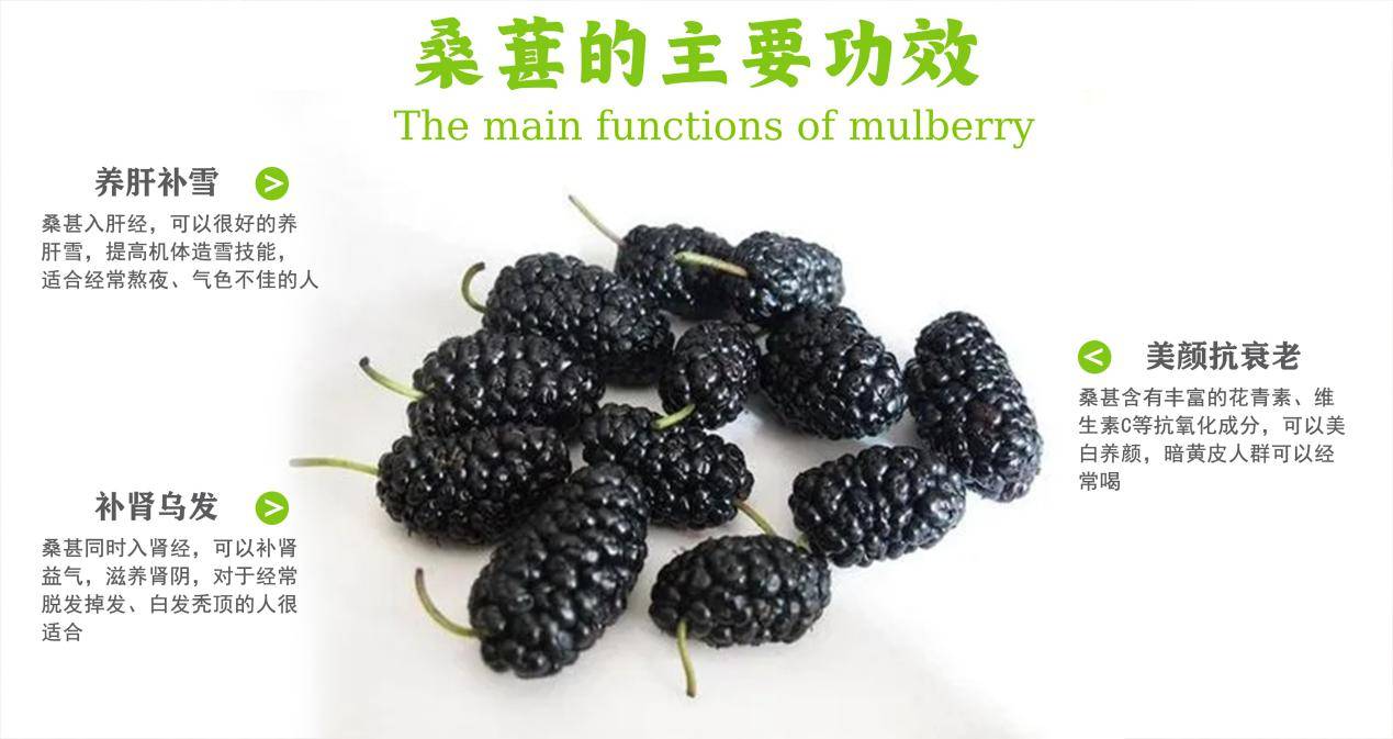 桑葚原浆在哪可以买到正品？怎么挑选？