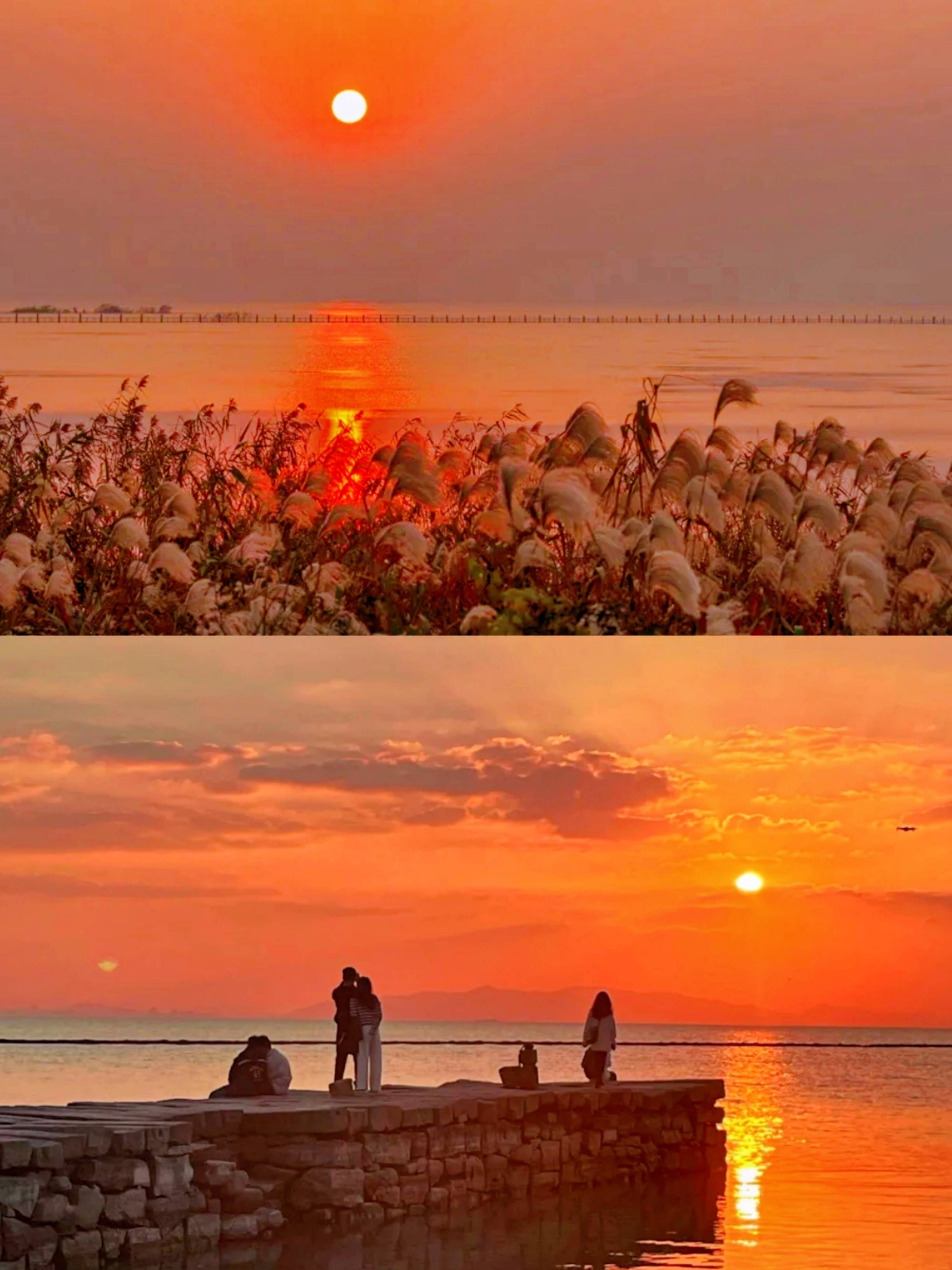 苏州西山岛3天2晚包吃住人均才400多，超全攻略