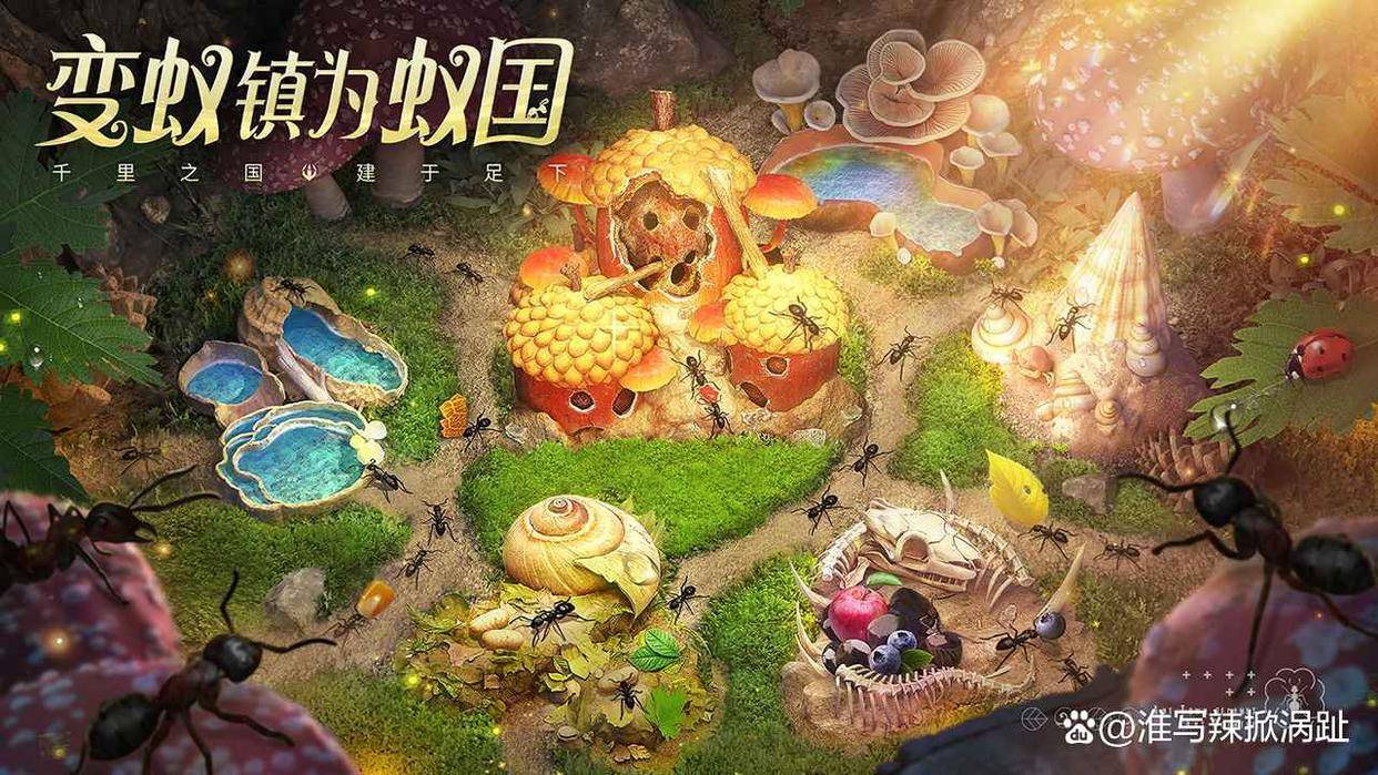 小小蚁国最强阵容推荐 小小蚁国阵容推荐