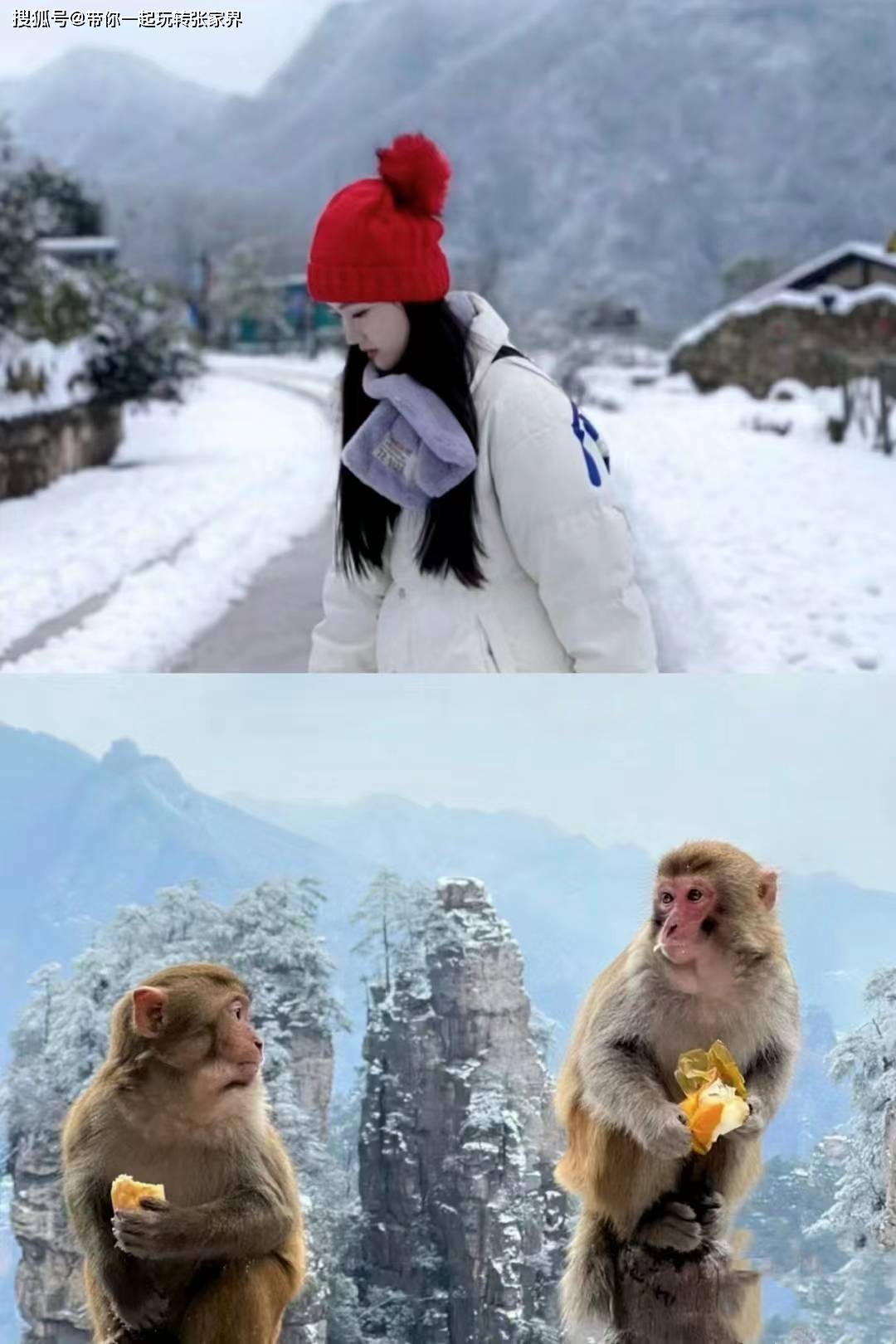 一起去张家界看雪景吧-一份张家界凤凰古城5日游旅游攻略