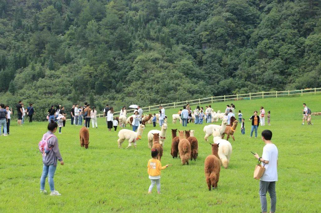 毕节旅游攻略——享秋日·浪漫亲子游路线