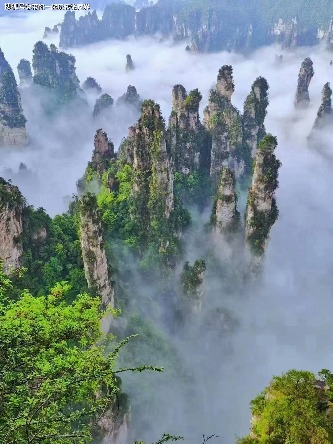 在张家界玩3-4天，怎么安排（吃住行玩）详细旅游攻略一网打尽