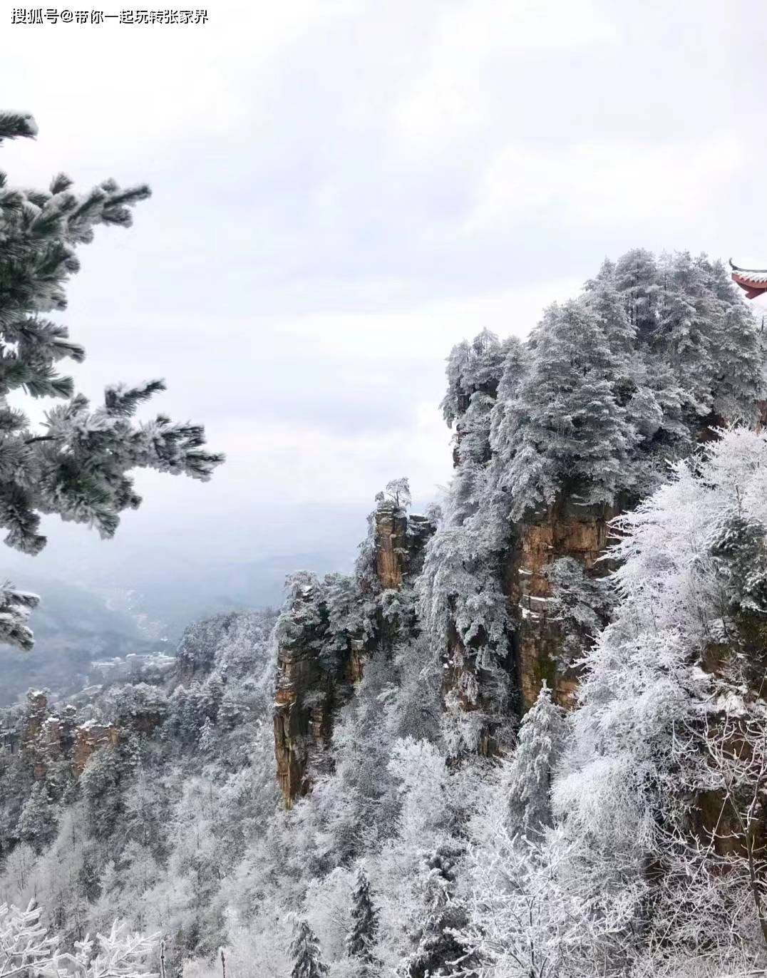 冬季雪景去张家界+凤凰古城玩5天4晚超详细旅游攻略