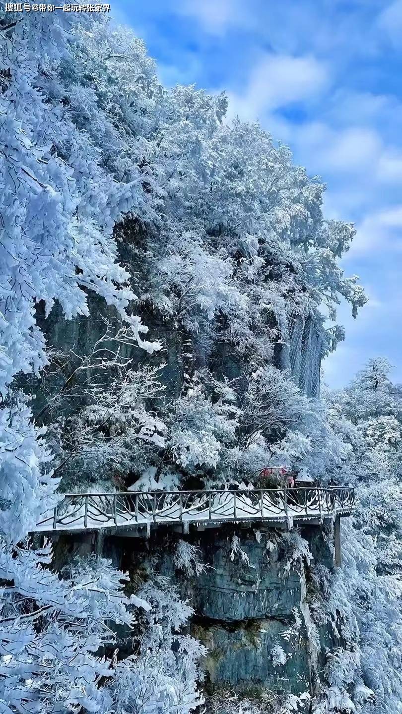 这个冬季看雪景-去张家界凤凰古城游玩5天4晚自由行攻略