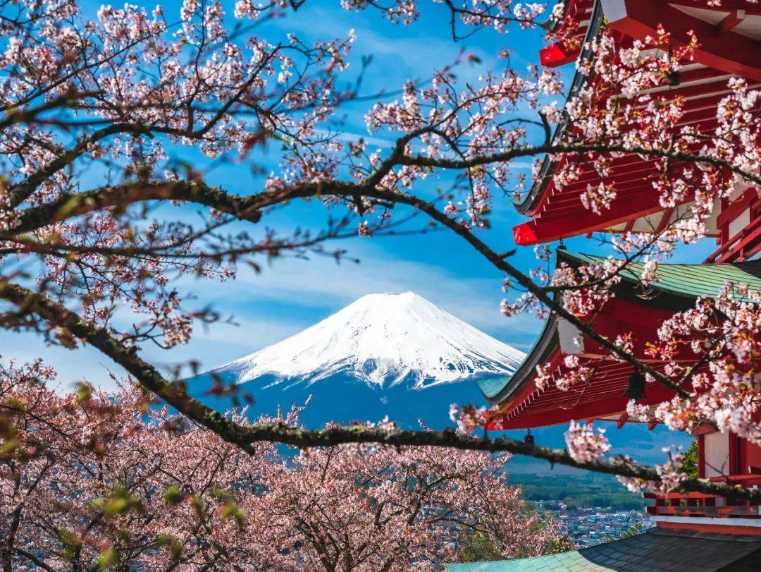 超实用！快收藏好这篇攻略干货，轻松搞定日本旅游