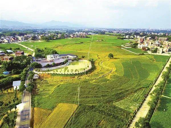 洪湖gdp_洪湖推动交通建设大跨越 争当经济发展先行军(3)